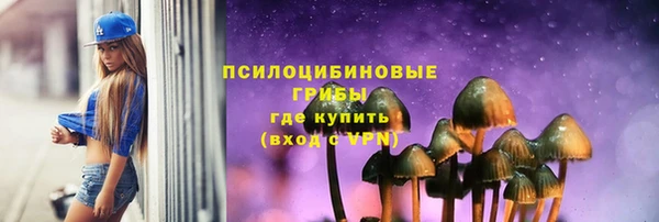 apvp Переславль-Залесский