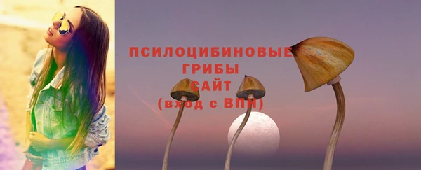 apvp Пестово