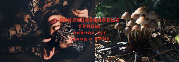 apvp Переславль-Залесский