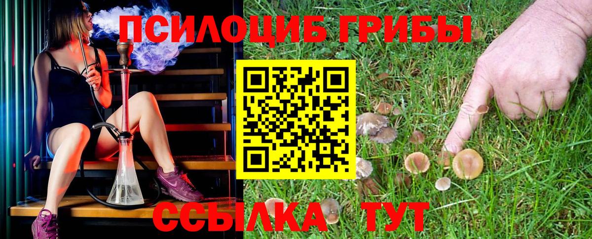 Торжок  Псилоцибиновые грибы Magic Shrooms  наркотики  Вход с VPN 