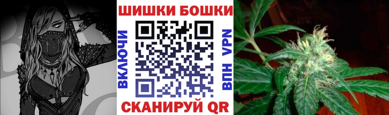 мориарти официальный сайт  Торжок  Бошки марихуана MAZAR 